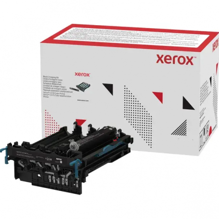 Unidad de Imagen Xerox 013R00689 Negro