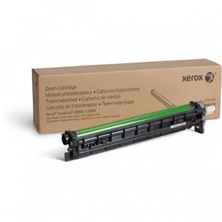 Kit de Limpieza IBT Xerox 104R00256
